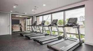Bayou City Escape Peaceful 1BR Near Downtown w Free Parking - Houston - 3