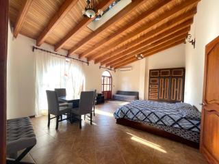 Casa Delfín - San Miguel de Allende - 4