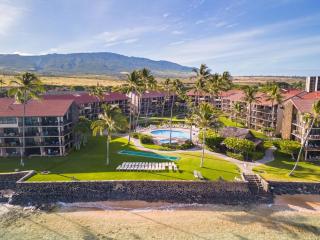 Papakea K301- Oceanview 1 bedroom coastal resort condo - Lahaina - 8