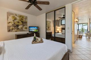 Papakea K301- Oceanview 1 bedroom coastal resort condo - Lahaina - 2