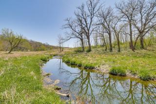 Fins and Flowers Lewiston Cabin with Trout Fishing! - - 8