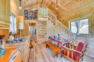Fins and Flowers Lewiston Cabin with Trout Fishing! - - 2
