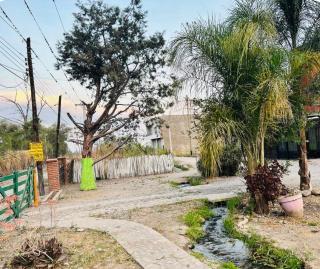 The comforting - Monterrico - 0