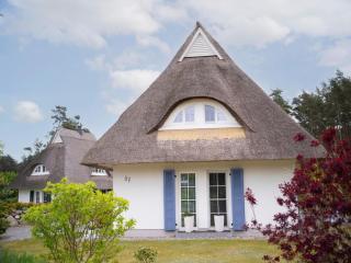 House in Bodden with Sauna and Waterfront - Fuhlendorf - 5