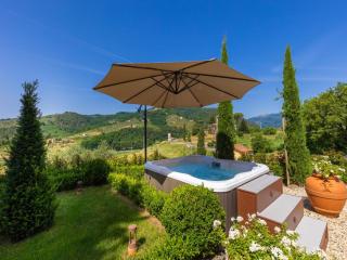 Villa in Lucca with Jacuzzi and Wine Tours - Lucca - 9