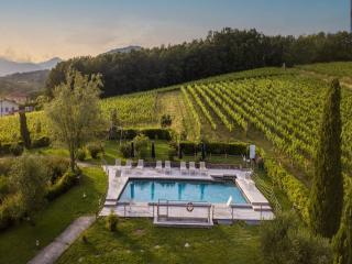 Farmhouse in Lucca with Winery and Pool - Cappella - 3