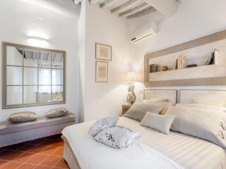 Apartment in Lucca near Torre Guinigi - Lucca - 1