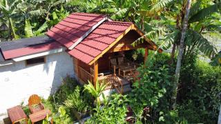 Asan Rinjani Homestay Tetebatu - Tetebatu - 6