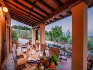 Villa near Lucca with Vineyard Views - Lucca - 3