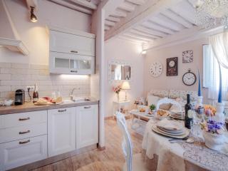Apartment in Lucca near Piazza Napoleone - Lucca - 1