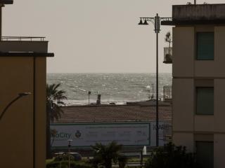 Apartment in Viareggio near the Beach - Viareggio - 5