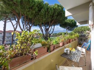 Apartment in Viareggio near the Beach - Viareggio - 0