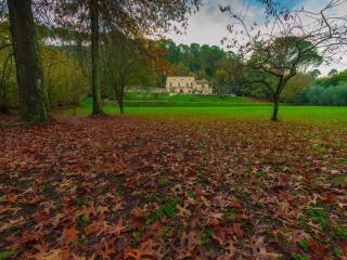 Villa in Tuscany near Lucca and Pisa - Vorno - 1