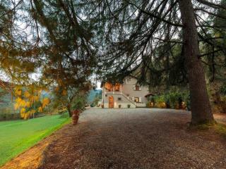 Villa in Tuscany near Lucca and Pisa - Vorno - 2