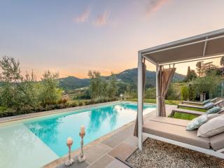 Villa in Lucca with Winery and Vineyard Views - Lucca - 7