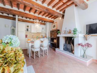 Farmhouse in Lucca with Vineyard Views - Cappella - 1