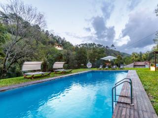 Farmhouse in Lucca with Private Pool - San Macario In Piano - 2