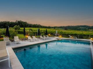 Farmhouse in Tuscany with Vineyard Views - Cappella - 4