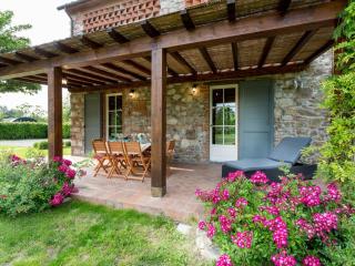 Farmhouse in Tuscany with Pool near Lucca - Lucca - 2