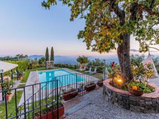 Farmhouse Tuscany with Pool and Vineyard Views - Lucca - 8