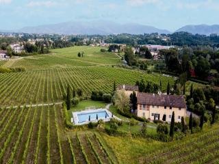 Farmhouse in Lucca with Pool & Vineyards - Cappella - 8