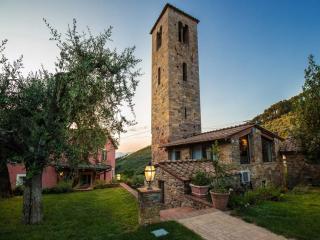 Farmhouse near Lucca with Pool - Capannori - 1