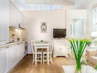 Apartment in Lucca near Torre Guinigi - Lucca - 9