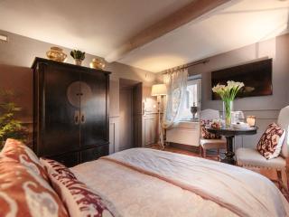 Apartment in Lucca near Guinigi Tower - Lucca - 0