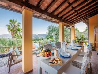 Villa near Lucca with Vineyard Views - Lucca - 8