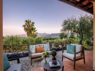 Villa near Lucca with Vineyard Views - Lucca - 7