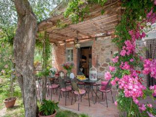 Villa in Lucca with Pool near Tuscan Coast - Aquilea - 4