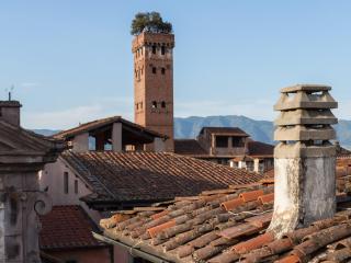 Apartment in Lucca with Panoramic Terrace - Lucca - 6