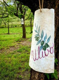 IDILLIO Alvito - Alvito - 1