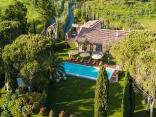 Wine Estate Villa in Lucca hills - Lucca - 9