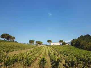 Farmhouse in Tuscany near Baroque Villa - 0