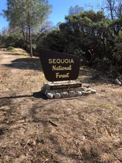 Sequoia National Forest CabinG - Panorama Heights - 7