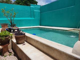 Pool, garden and colonial charm! - Mérida - 0
