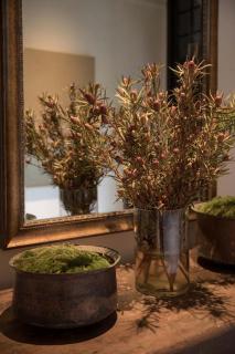 SUNYATA Chongqing Hotel - 1