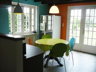 Maison moderne avec grand jardin et cheminée à Renaison - FR-1-496-110 - 1