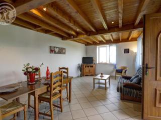 Gîte chaleureux à 15 min de St-Etienne, 2 chambres, terrasse, jardin, animaux acceptés - FR-1-496-4 - Saint-Héand - 3