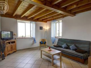 Gîte chaleureux à 15 min de St-Etienne, 2 chambres, terrasse, jardin, animaux acceptés - FR-1-496-4 - Saint-Héand - 1