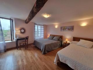 Gîte spacieux avec cheminée et WiFi - Animaux admis - FR-1-496-87 - Saint-Paul-de-Vézelin - 3