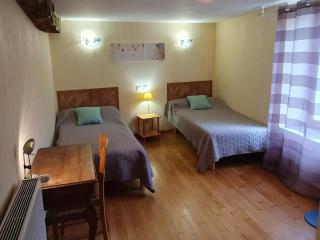 Gîte spacieux avec cheminée et WiFi - Animaux admis - FR-1-496-87 - Saint-Paul-de-Vézelin - 1