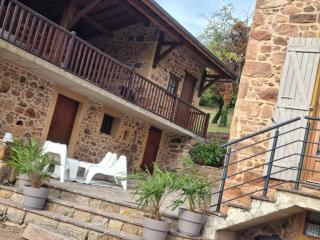 Charmant gîte avec terrasse et animaux acceptés à Belmont-de-la-Loire - FR-1-496-305 - 2