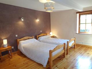 Gîte spacieux à Renaison avec cheminée, jardin et équipements enfants - FR-1-496-257 - Renaison - 5