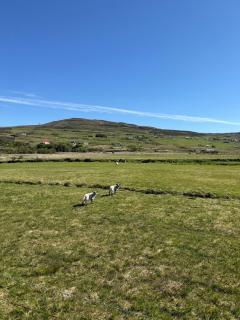 Charming Isle of Skye Holiday Cottage, Glendale - Glendale - 3