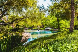 De Luz by AvantStay 5 Acre Estate w Lake Pool Hot Tub - Murrieta - 7