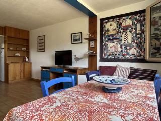Appartement 2 pièces vue mer avec climatisation à Banyuls-sur-Mer - FR-1-225C-172 - Banyuls-sur-Mer - 9