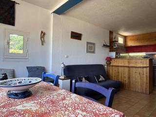 Appartement 2 pièces vue mer avec climatisation à Banyuls-sur-Mer - FR-1-225C-172 - Banyuls-sur-Mer - 8