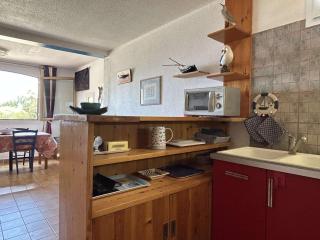 Appartement 2 pièces vue mer avec climatisation à Banyuls-sur-Mer - FR-1-225C-172 - Banyuls-sur-Mer - 2